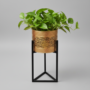 Pot de fleurs d'intérieur de haute qualité, nouvelle arrivée, fait main, en laiton antique, design perforé, support noir thermolaqué, jardin - Product Image 1