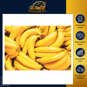 Bananes fraîches de qualité supérieure pour les acheteurs en gros, l'exportation, les commandes en gros et les marchés commerciaux - Product Image 2