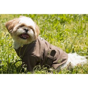 Cappotto in Lana per Animali Domestici Galore Fashion con Design con Fibbia Posteriore - Product Image 4