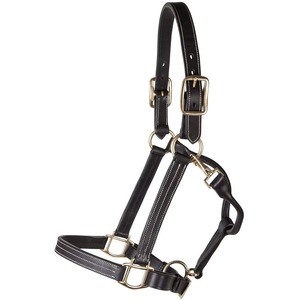 Última Novedad: Halter de Cuero para Polo de Alta Calidad, Personalizado, Diseño ODM Disponible a un Precio Increíble, Halter para Polo Hecho a Medida - Product Image 2
