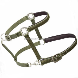Licou de cheval en nylon réglable vert clair personnalisé avec ruban de créateur imprimé doux cousu et anneau à boucle à double couronne - Product Image 3