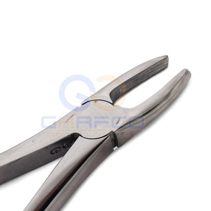 Prix de gros – Meilleures ventes : Forceps d'extraction dentaire manuels en acier inoxydable, fabriqués au Pakistan - Product Image 6