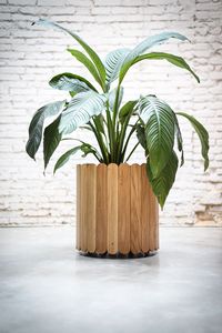 Jardinière en bois massif écologique sur mesure pour projets de serres, pépinières et aménagements paysagers - Product Image 6