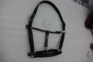 Halters en cuir de cheval - Product Image 6