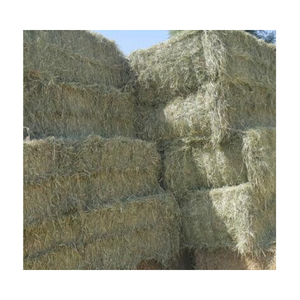 Balles de foin d'herbe de Rhodes à haute teneur en protéines aliments pour animaux séchés pour bétail cochon cheval vache chèvre chien poisson en vente au Pakistan - Product Image 4