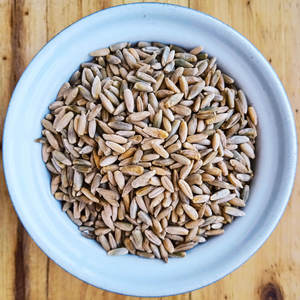 Grano di <span class=keywords><strong>segale</strong></span> intero naturale in vendita, semi di <span class=keywords><strong>segale</strong></span> biologici sfusi, <span class=keywords><strong>segale</strong></span> pulita ed essiccata per panificazione, produzione di birra, mangime per bestiame, fornitore globale - Product Image 2