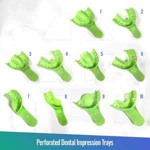 Juego Profesional de 12 Bandejas Metálicas para Impresiones Dentales |   Bolsa de Plástico Perforada de Tamaño Mediano (Número 4) - Product Image 2