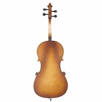 4/4 Acoustic Cello Set with Case Bow Rosin in Wood Color (Model D0100HP4CVW)