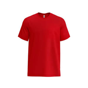 Camiseta de Cuello Redondo de Punto Tri-Blend para Hombre Next Level, Color Sólido, Etiqueta Privada, Corte Regular, Manga Corta, Camisetas de Marca de Lujo y Calidad - Product Image 4