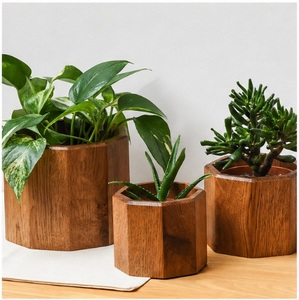 Ensemble de jardinières hexagonales géométriques modernes en bois, écologiques, faites à la main, en bois massif, pour plantes succulentes, décoration de bureau à domicile - Product Image 3