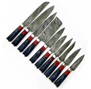 Couteaux de chef Damas faits main de haute qualité, 10 pièces, avec manche personnalisé, multi-usages et écologiques - Product Image 1