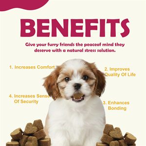 Compléments vitaminiques pour chiens, multivitamines, glucosamine, probiotiques, oméga-3, comprimés à mâcher pour chiots, soins de santé optimaux pour la santé cardiaque - Product Image 4