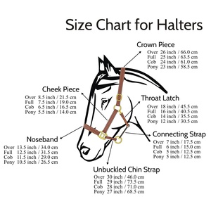 Licou en cuir de guanine intelligent de haute qualité avec rembourrage super doux et accessoire de ligne d'argent brodé - Product Image 4