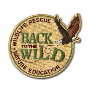 Patchs brodés à repasser personnalisés en gros OEM pour vêtements et accessoires de décoration - Product Image 4