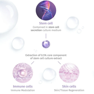 เซรั่มบำรุงผิวหน้า Plant Cica Vesicle PDRN คอลลาเจน ช่วยให้ผิวกระจ่างใส กระชับ ชุ่มชื้น ฟื้นฟูผิว ขนาด 24 มล. ชุดแอมพูลสำหรับดูแลผิวหน้าที่บ้าน - Product Image 2