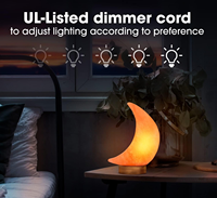 Lampe lune en sel rose de l'Himalaya naturel sculpté, lumière d'ambiance pour chambre à coucher, décoration intérieure