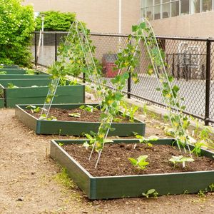 Treillis de jardin en métal pour plantes grimpantes, lot de 4, 71 x 20 pouces, support robuste pour vigne et fleurs - Product Image 3
