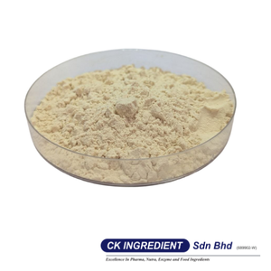Premium High Quality Oatmilk Powder Base Halal OEM B2B <b>Best</b> Supplier Guarantee Top Sale Vegan Milk Alternative Lactose Free - Product Image 3