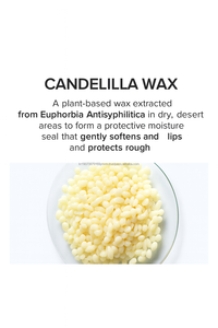 Siero Booster K Beauty con Burro di Karité e Centella, Essenza in Stick, Olio, Balsamo OEM per una Pelle Luminosa e Lattiginosa - Product Image 5