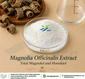 Suministro Directo de Fábrica HGO, Extracto Puro y Natural de Magnolia Officinalis en Polvo (Grado Alimenticio), Magnolol 95% Extracto Estandarizado en Tambor - Product Image 2