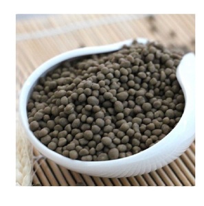 Fournisseur fiable de phosphate diammonique DAP 18 46 0, engrais hydrosoluble pour l'agriculture et les systèmes d'irrigation, à prix avantageux. - Product Image 2