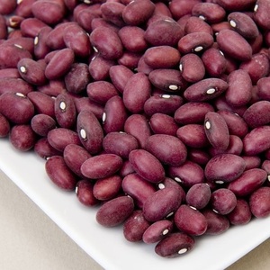 Fournisseur en Gros Propose des Haricots Rouges Séchés de Haute Qualité en Vrac 25kg – Préparation Alimentaire Nutritive et Économique à Vendre - Product Image 1