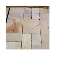 Dalles et carreaux en pierre naturelle durable Raveena Sandstone pour l'architecture de style patrimonial