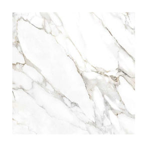 Design moderne 600x1200mm Carreaux émaillés Porcelanato Accents pour application intérieure exportés de l'Inde - Product Image 1