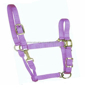 Triple Ply 100% Nylon Webbing Lavender horse halter with luxury Golden hardware Nylon Halter horse custom sizes available - Product Image 3