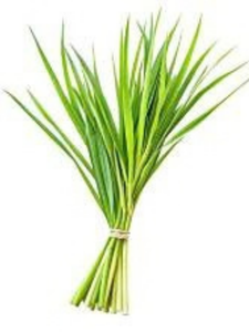 Citronnelle séchée du Vietnam - 100% naturelle, emballage en vrac et livraison rapide - Product Image 3