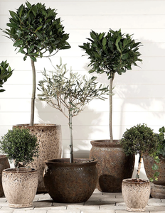 Jardinière conique moderne en bois, grande taille, finition grain de bois brun rustique, pour jardin, patio, balcon, décoration intérieure et extérieure - Product Image 4