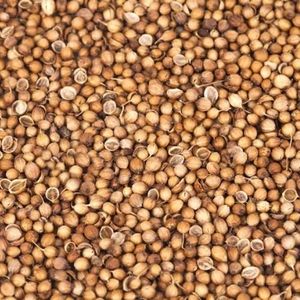 Coriander Seeds (Coriandrum Sativum) | Purity 99% Moisture <10% Admixture <1% | Whole Seeds | Vacuum <b>Sealed</b> | 25kg <b>Bags</b> | FOB - Product Image 5