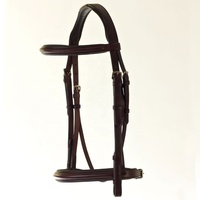 Cavasson Noseband Flash Bridle Matériau en cuir durable