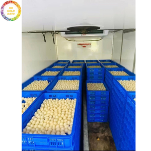 Lychees surgelés de qualité commerciale IQF sans sucre ajouté, fruits tropicaux emballés sous vide, ingrédient alimentaire en vrac, vente en gros d'usine - Product Image 5
