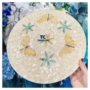 Proveedor Premium MOTHER PEARL PLACEMATS Vietnam Venta al por mayor Diseños duraderos Exportación rápida Negocios a largo plazo - Product Image 1