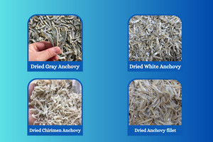 BEST SELLING |   Anchois séchés pour la cuisine, soupes, bouillons, snacks, transformation alimentaire, vente en gros, Vietnam - Product Image 2