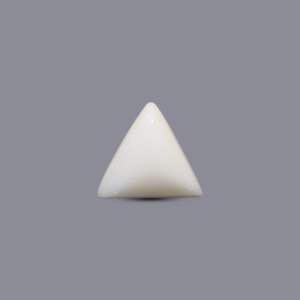 Natural White Coral Oval Cabochon 9.65 Carat Loose Gemstone 7mm Certified Wholesale - Product Image 2