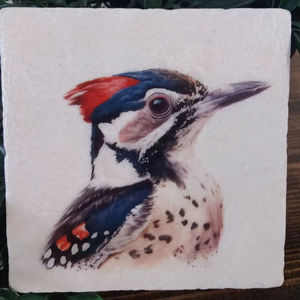 Juego de Posavasos Rústicos de Mármol con Diseño de Pájaro, Posavasos para Bebidas, Alfombrillas para Mesa de Café, Regalo Inspirado en la Naturaleza - Product Image 1