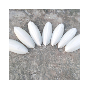 กระดูกปลาหมึกแห้งสำหรับนกเคี้ยวเล่นและอุปกรณ์ดูแลจะงอยปาก - Product Image 4