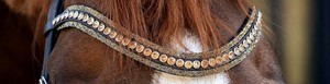 Fancy Crystal Browband English Leather Bridle with Patent Noseband Adjustable High Quality Comfortable for Horse Riding - Product Image 3