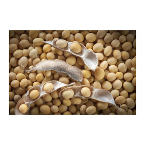 Export Grade Brazil Non GMO <b>Soybean</b> High Quality Clean <b>Soybeans</b> For International Food Industry Use - Product Image 3