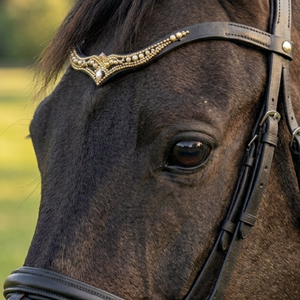 Accessoires de dressage équestre confortables et durables en cuir avec strass AB vert émeraude anatomique pour chevaux - Product Image 2