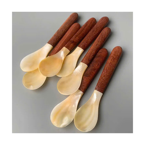 Cuillère artisanale en nacre avec manche en coquillage, écologique, non toxique, de luxe, vintage, décorative, pour servir des desserts, coffret cadeau d'affaires - Product Image 1