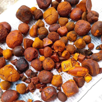 Capsules de calculs biliaires de bovin de qualité supérieure, haute teneur en bilirubine 35%, non hydrosolubles, durée de conservation de 2 ans, emballage en vrac, vente en gros