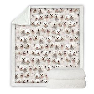 Coperte Morbide e Accoglienti da 60 Pollici per Arredamento Casa - Altri Tessili per la Casa - Product Image 2