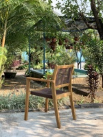 Ensemble de 2 chaises de salle à manger contemporaines en bois massif pour l'extérieur, patio, villa, cuisine, salon, école et hôpital