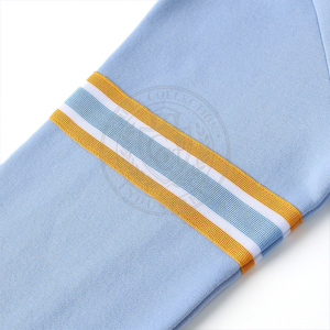Sudadera de Mujer Personalizada de la Colección Griega, Color Azul Claro, Tejida, con Logotipo, de Algodón y Felpa, Cuello Redondo, Estilo Universitario, para Invierno - Product Image 5