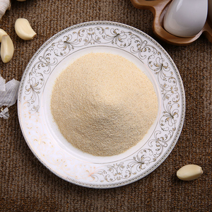 Ajo Seco al Mejor Precio, Especias a Granel, Ajo Tostado Granulado - Product Image 1