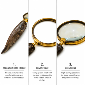 Loupe vintage en métal avec poignée en corne de bœuf, loupe de lecture portative de 10 pouces, lentille de 4 pouces, décoration de bureau steampunk - Product Image 3