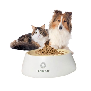 Bol pour animaux de compagnie personnalisé et écologique pour chiens et chats - Product Image 4